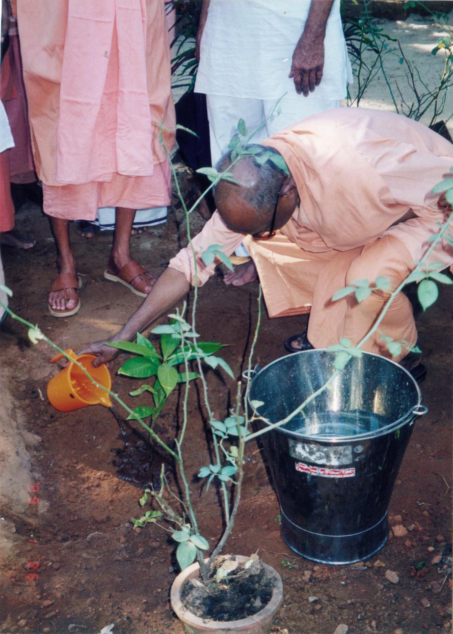 Swamiji - Planting